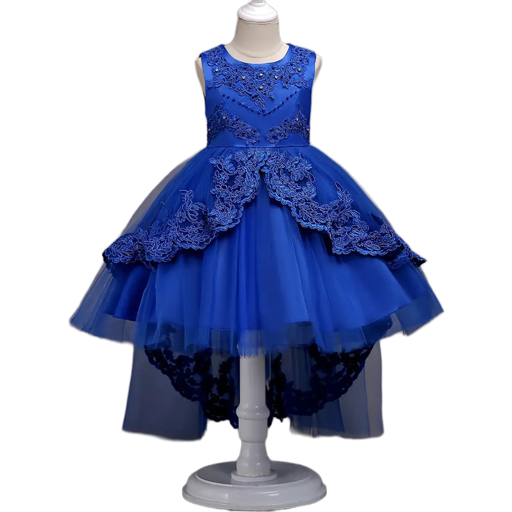 Girls' Sleeveless Embroidered Princess Dress with Lace Trim & Flowing Tulle Skirt