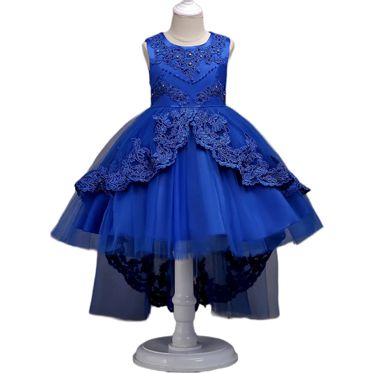 Girls' Sleeveless Embroidered Princess Dress with Lace Trim & Flowing Tulle Skirt